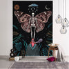 Reborn in Starlight: Metamorphosis