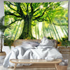 A Symphony in Green: Sunbeams and Ancient Boughs